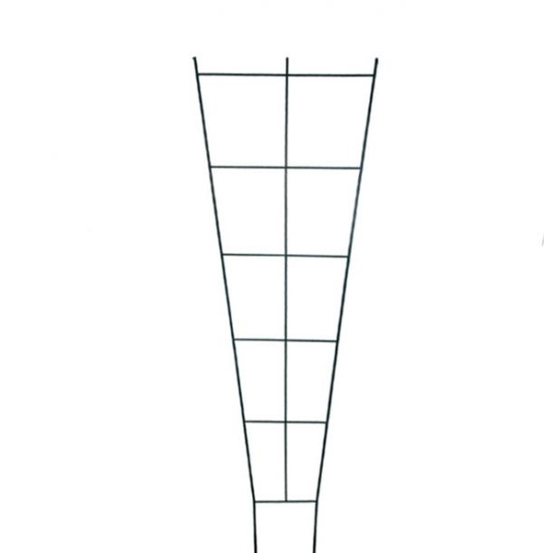 Trellises & Obelisks